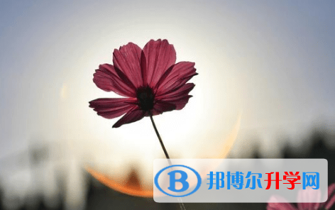德陽2021年中考招生計劃查詢
