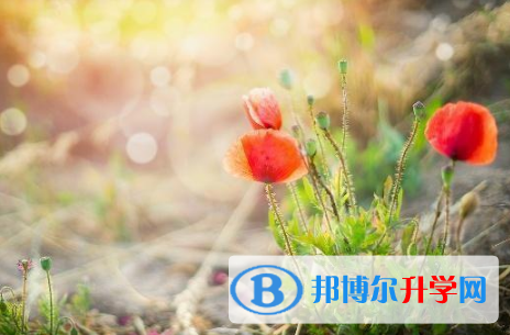 德陽2021年中考政策