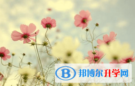 德陽2021年中考志愿官網(wǎng)