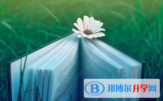 德陽2021年中考志愿怎么填報