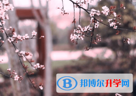 德陽2021年中考自主招生考試學校