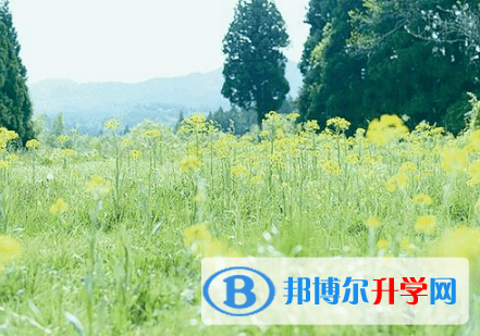 德陽2021年中考自主招生時間