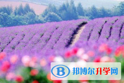 德陽(yáng)2021年中考后的出路
