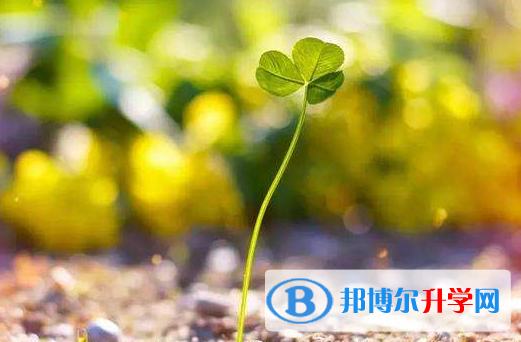 德陽2021年中考技巧和注意事項
