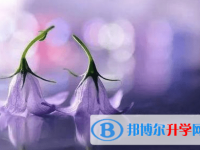 德陽2021年中考重點(diǎn)復(fù)習(xí)