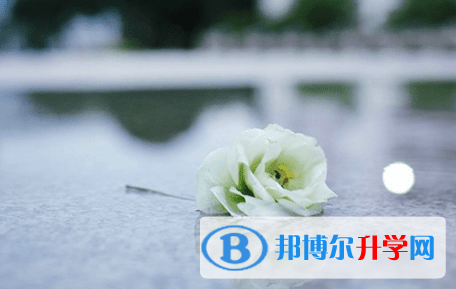 德陽2021年中考注意事項和技巧