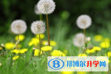 德陽2021年中考準(zhǔn)考證丟了怎么辦