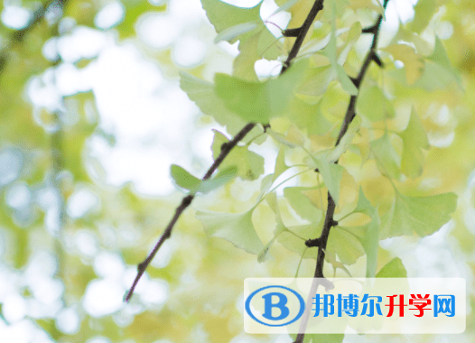 德陽2021年中考有不有補錄