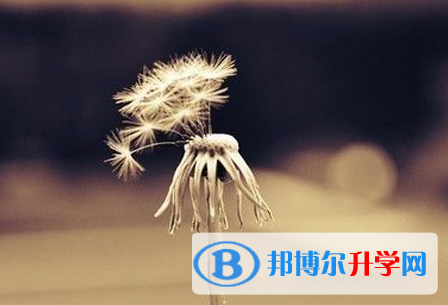 德陽(yáng)2021年中考是多少科