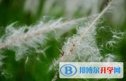 德陽2021年中考沒考好可以復讀嗎