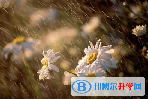 德陽2021年中考考試要帶什么