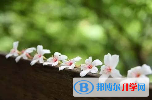 德陽2021年中考緊張怎么辦