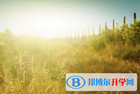 德陽2021年中考后可以上什么學校