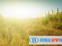 德陽2021年中考后可以上什么學校