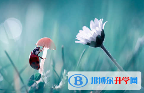 德陽2021年中考報名自薦信怎么寫