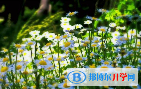 德陽2021年什么時(shí)候中考