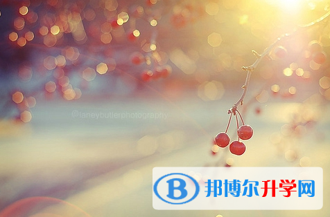 德陽2021年孩子中考家長怎么做