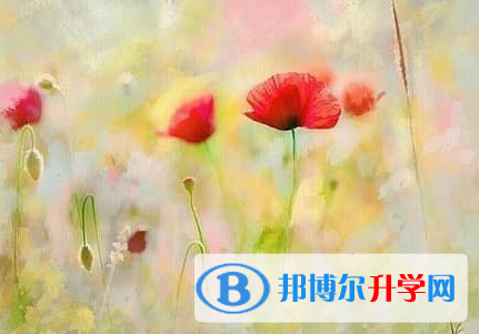 德陽2021年怎樣填中考志愿