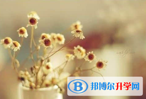 德陽2021年中考怎么填志愿才可以上到好的學(xué)校