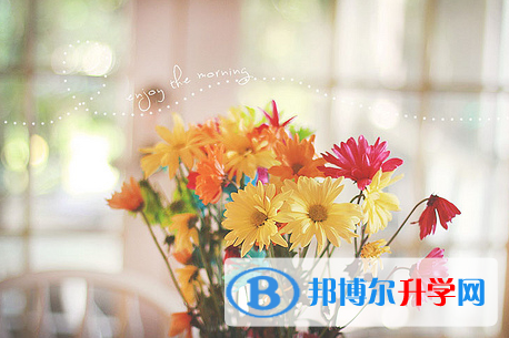 德陽(yáng)2021年中考志愿如何填報(bào)