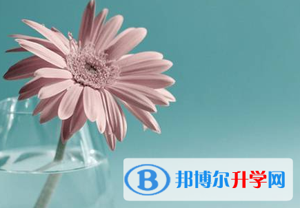 德陽2021年中考志愿填報網址