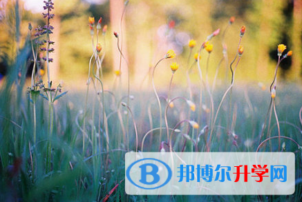 德陽(yáng)2021年中考志愿怎么錄取
