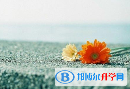 德陽2021年中考踩線生如何填志愿