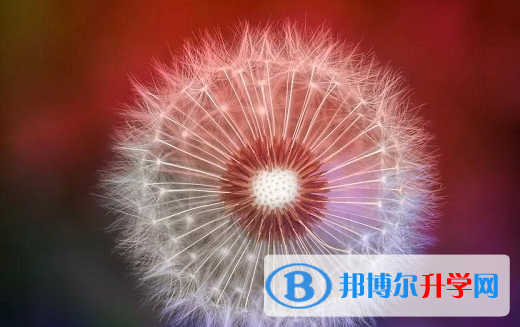 綿陽2021年查詢中考成績