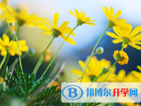 綿陽2021年查詢中考成績用名字可以嗎
