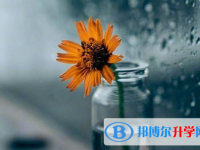 綿陽2021年如何查詢中考錄取結果