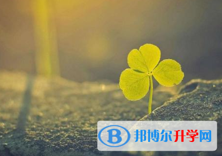 綿陽2021年網上查詢中考成績