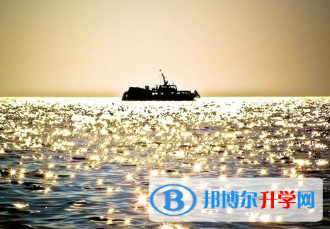 綿陽2021年網上查詢中考成績怎么查詢