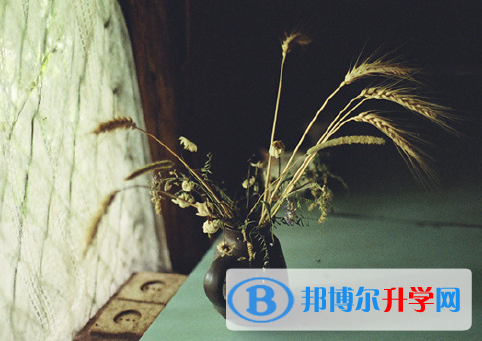 綿陽2021年怎樣從網上查詢中考成績