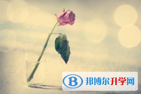 綿陽2021年中考成績沒考好怎么給家長說