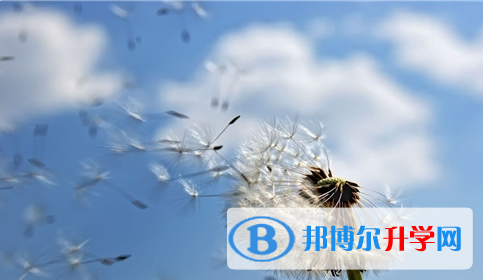 綿陽2021年各個學校中考錄取線