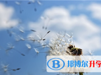 綿陽2021年各個學校中考錄取線