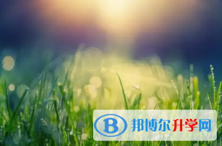 綿陽(yáng)2021年教育網(wǎng)中考查詢