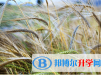 綿陽2021年考起重高的人數