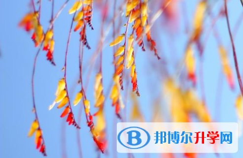綿陽2021年如何填中考學校