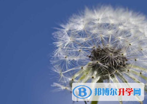 綿陽2021年中考報名平臺