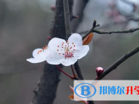 綿陽(yáng)2021年中考報(bào)志愿時(shí)間