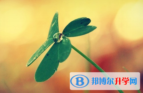 綿陽2021年中考查詢網