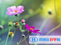 綿陽2021年中考查詢網址