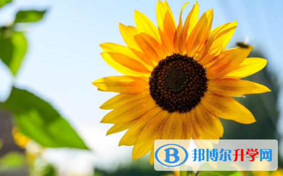 綿陽2021年中考成績什么時候公布