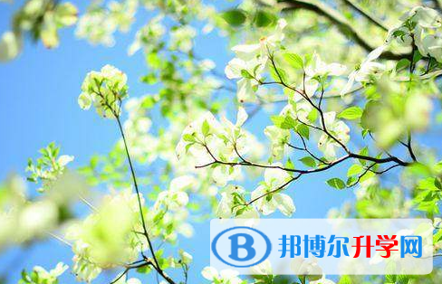 綿陽2021年中考后如何錄取