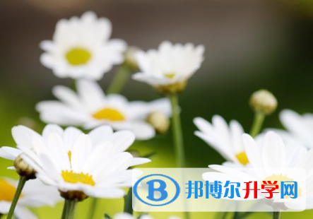 綿陽2021年中考錄取結果查詢
