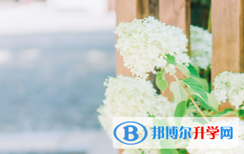 綿陽2021年中考填志愿的網站