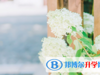 綿陽2021年中考填志愿的網(wǎng)站