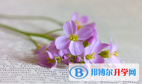綿陽(yáng)2021年中考網(wǎng)上報(bào)名
