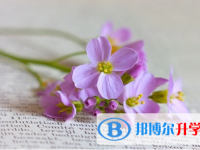 綿陽2021年中考網上報名